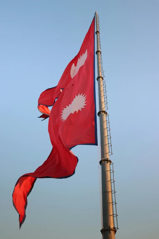 two red flags with white spots against a blue sky