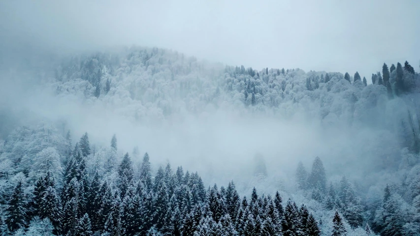 the snow covered trees are near a hill