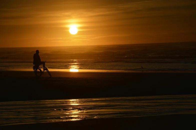 a person with a dog on the beach at sunset