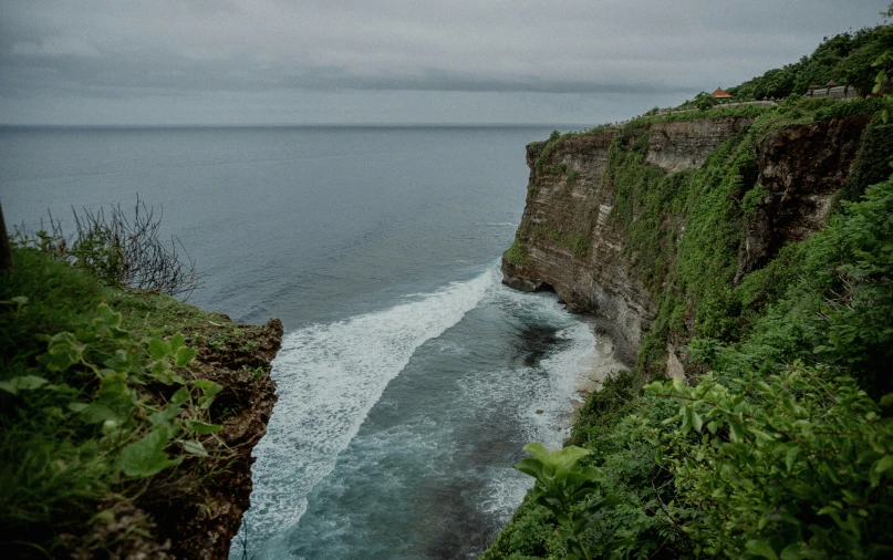 some green bushes and water next to a cliff