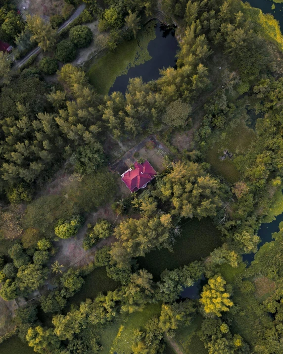 aerial po of red house surrounded by wooded area