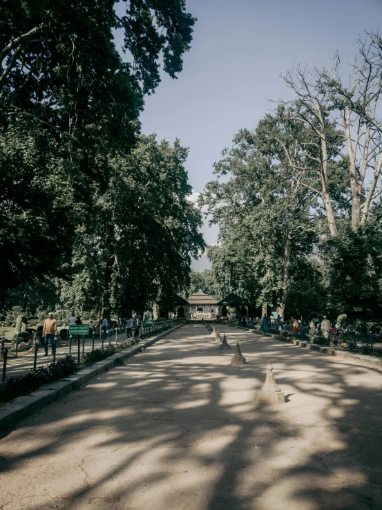 a road with trees on both sides is surrounded by green fencing