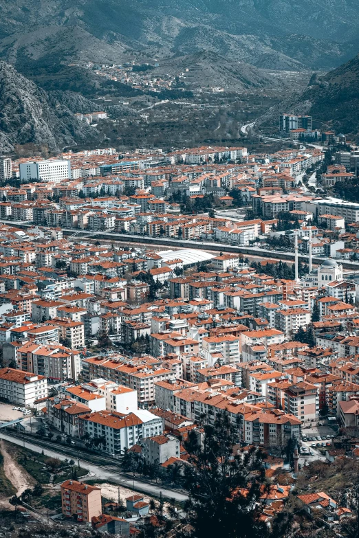 a large city is pictured with many orange roofs