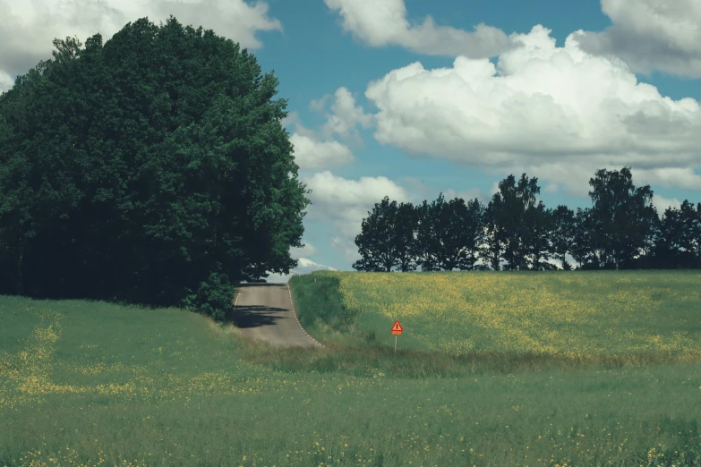 the green countryside is a great place to see the clouds