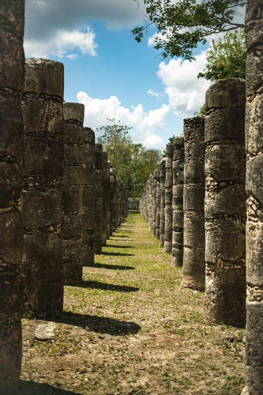 the stone walls are lined up and separated by grass