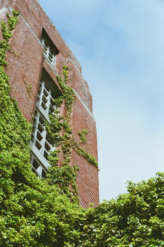 a brick building with green vines growing out of it