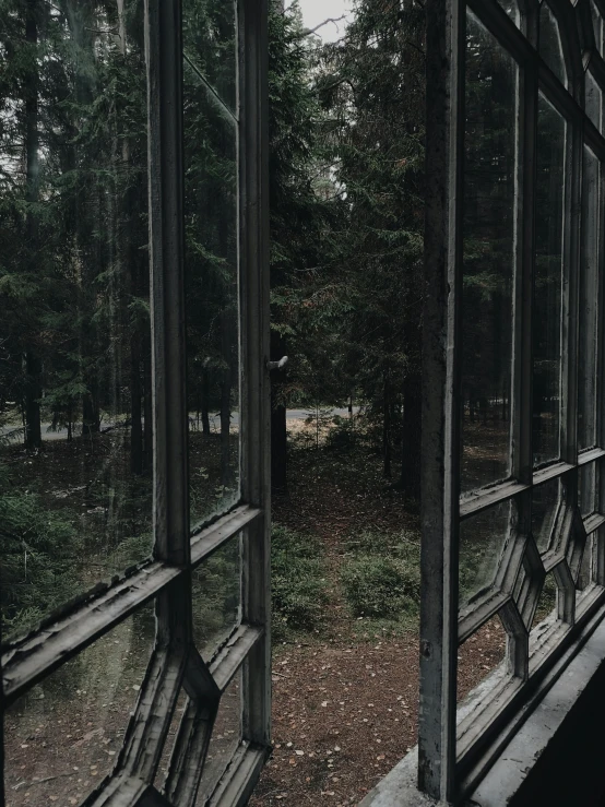 two wooden benches sitting under large glass windows