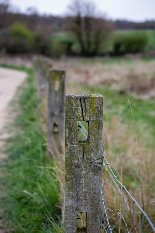 a close up of two wooden posts with ivy vines on it