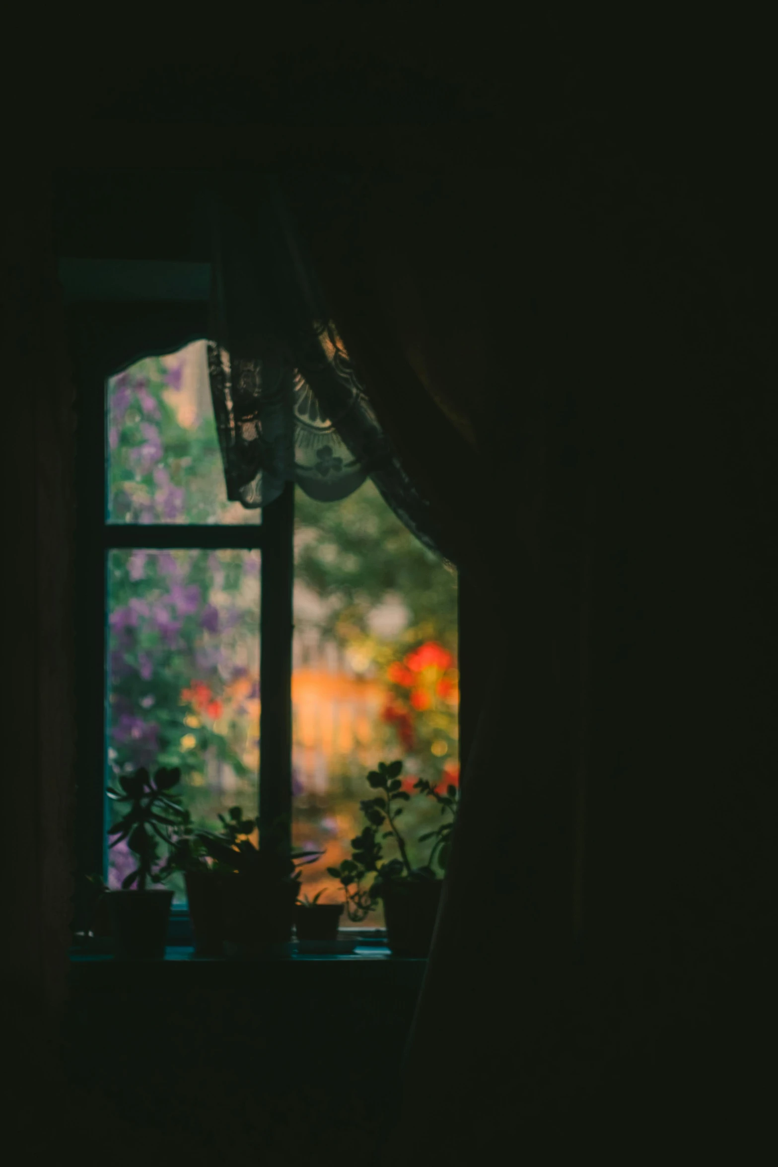 a view from the inside of a house window, of trees outside