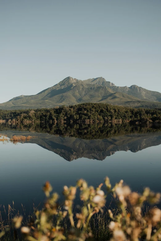 a mountain reflecting in a still lake with grass