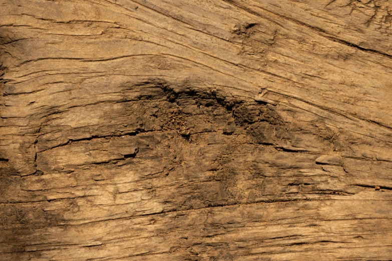 close up of an aged wood grain with very little visible details