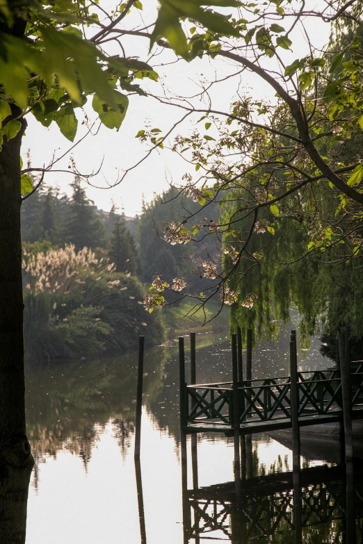 a wooden bridge spanning the width of a pond