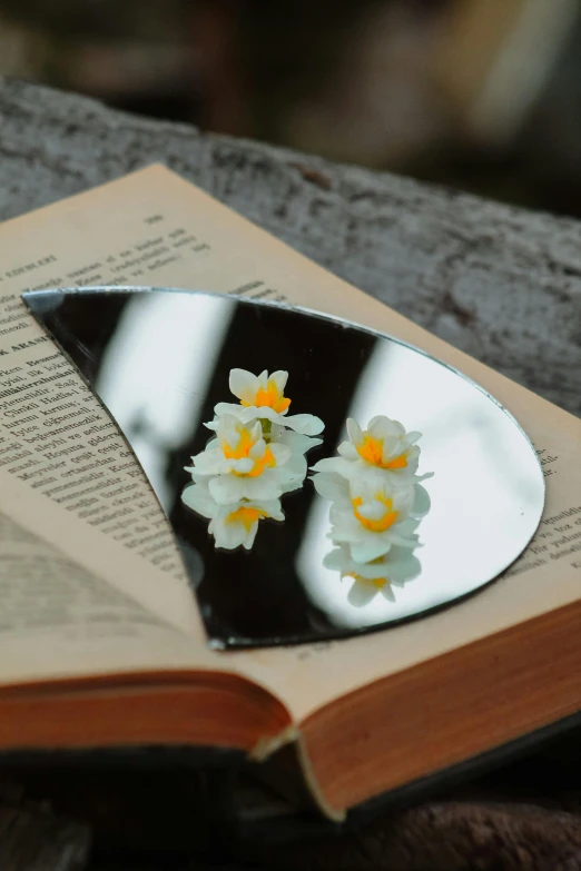 flowers made from glass are placed on the book