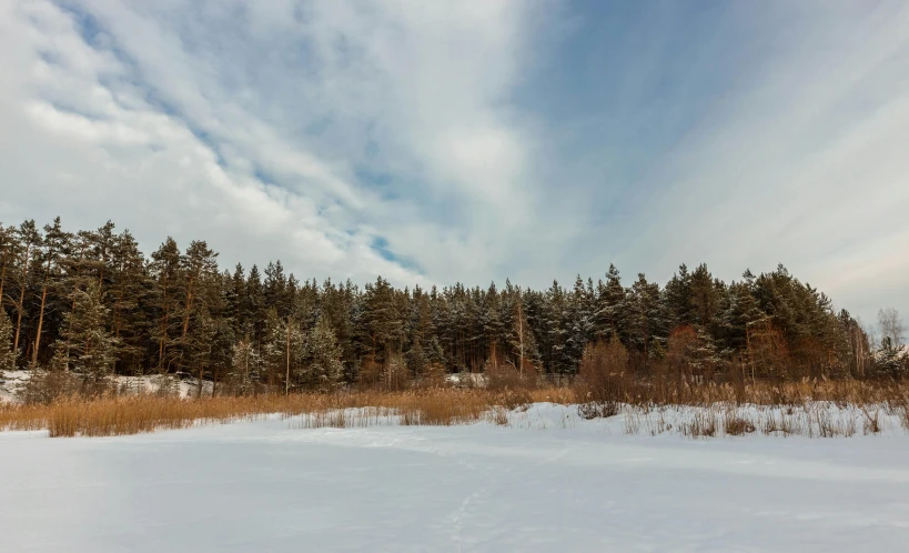 a snow covered field with trees in the background