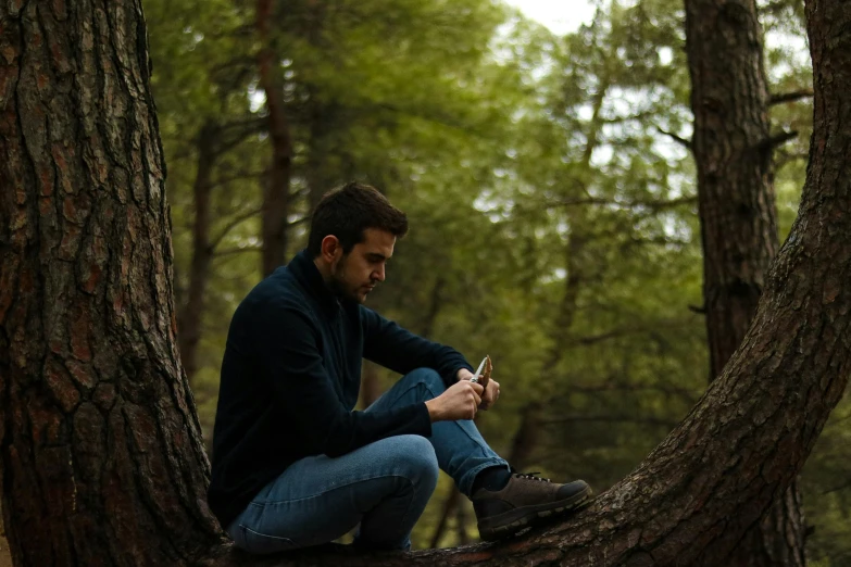 a man in jeans sits in a large tree
