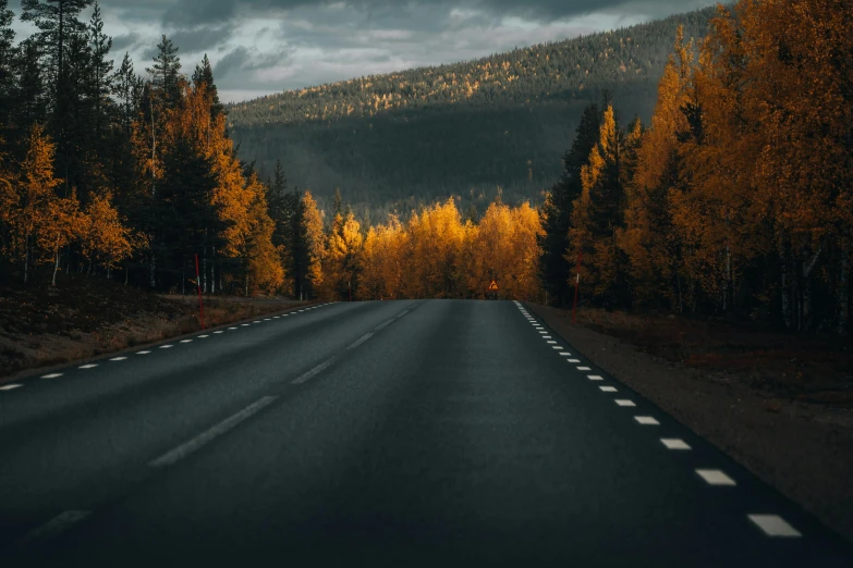 a dark road with trees lined by it and storm clouds