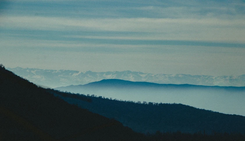 a hill with a single bird perched on it