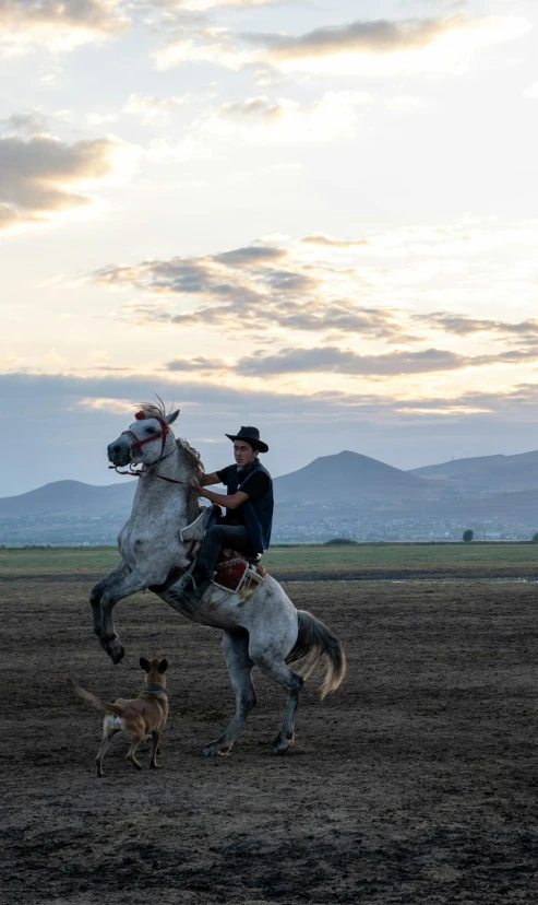 a man on horseback with a dog running next to him