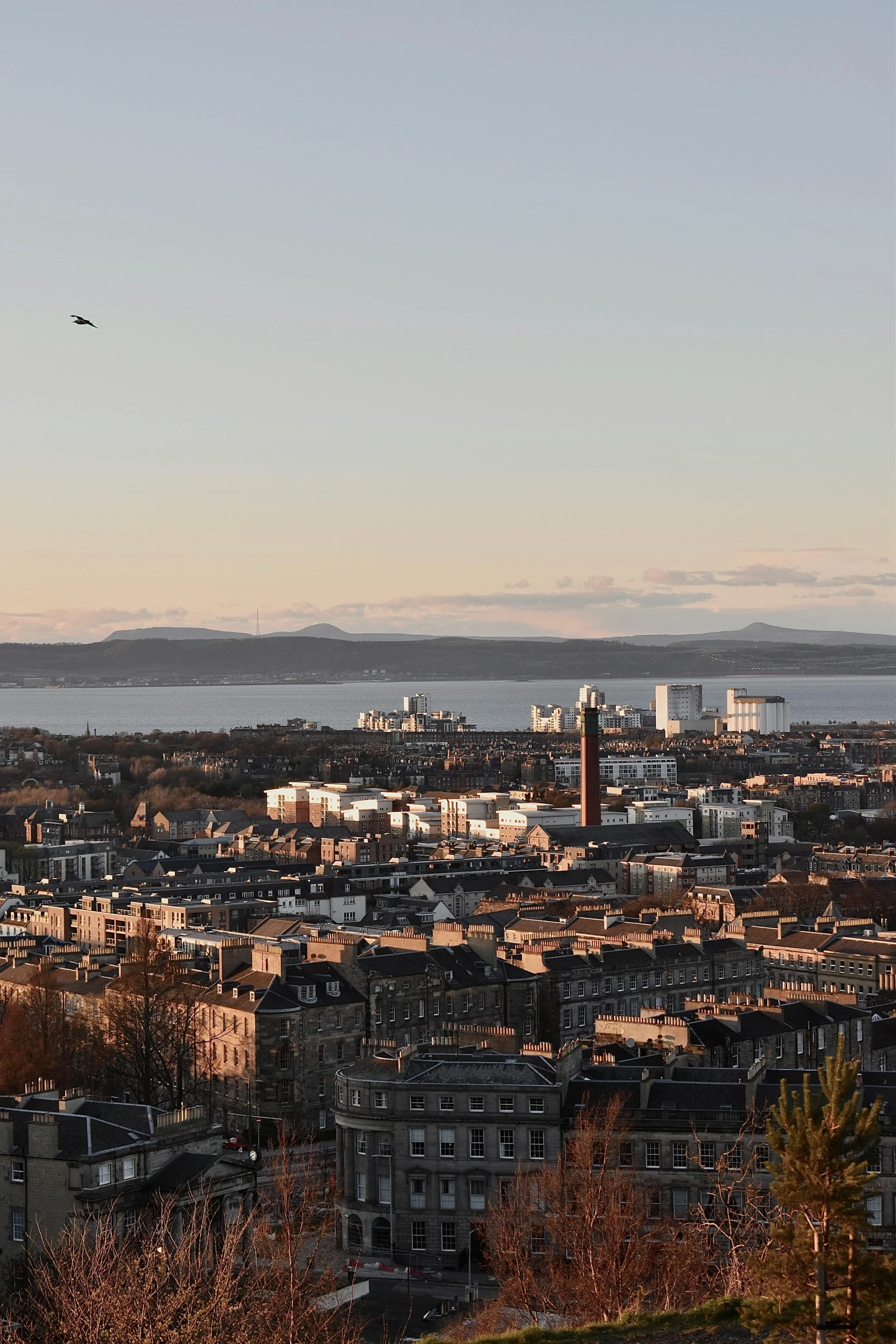 a large city with some airplanes flying in the sky