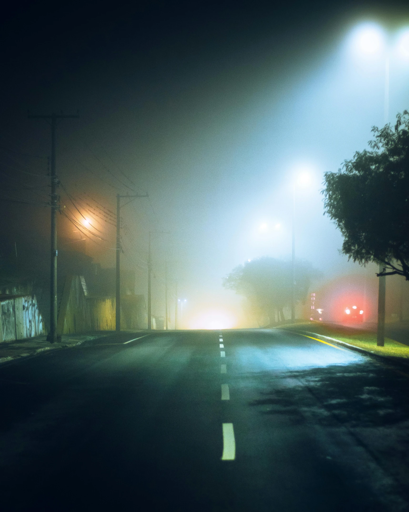 the foggy street and the road lights shine brightly