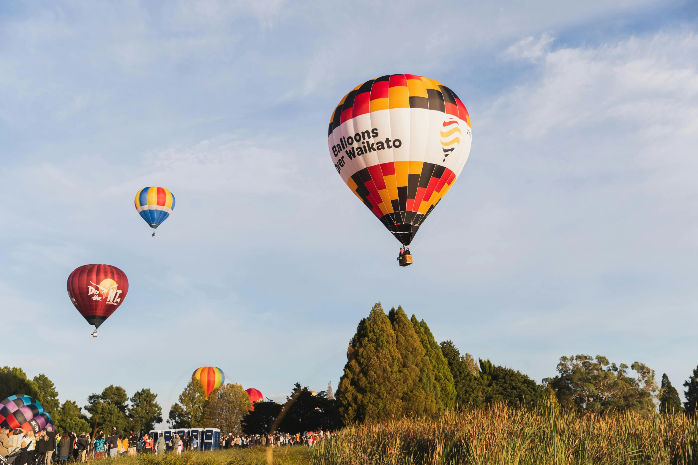 many colorful  air balloons with some trees