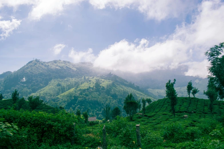 a green hill with trees and mountains in the background