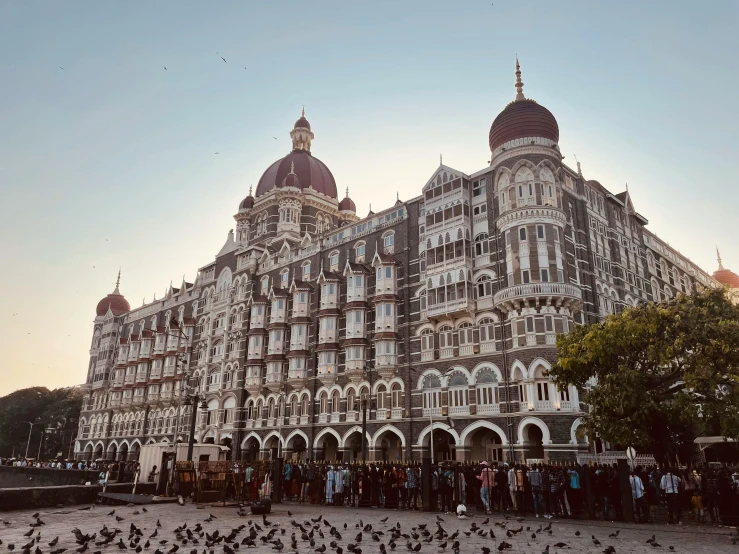 birds gather in front of a building and some people