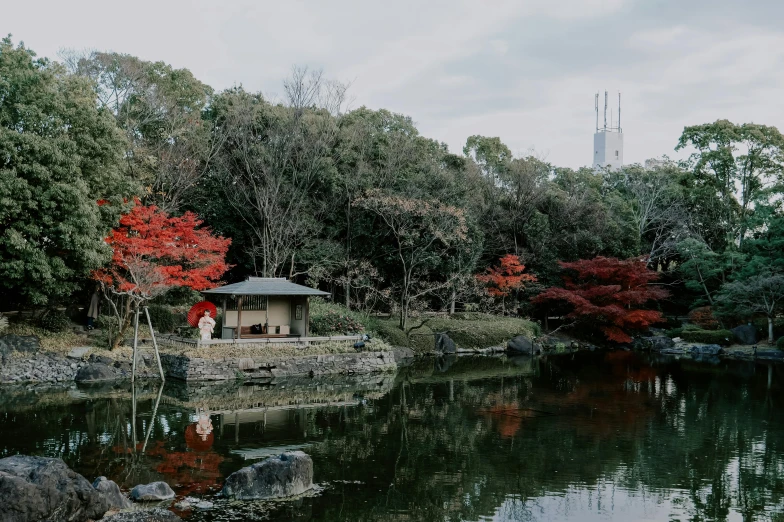 a man sitting on top of a rock near a pond