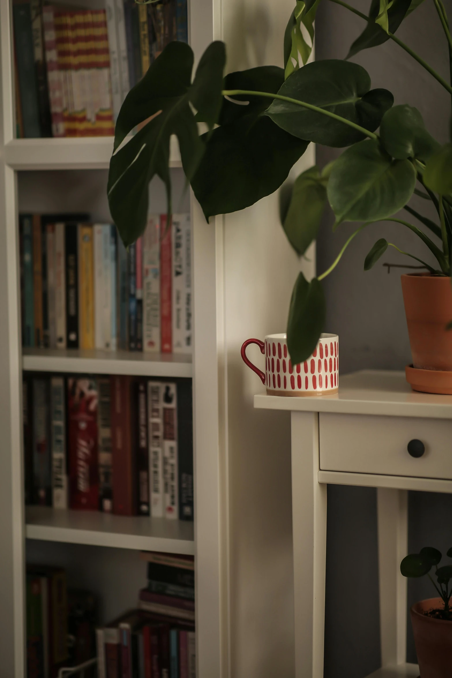 a plant is sitting on a small shelf in front of the bookshelves