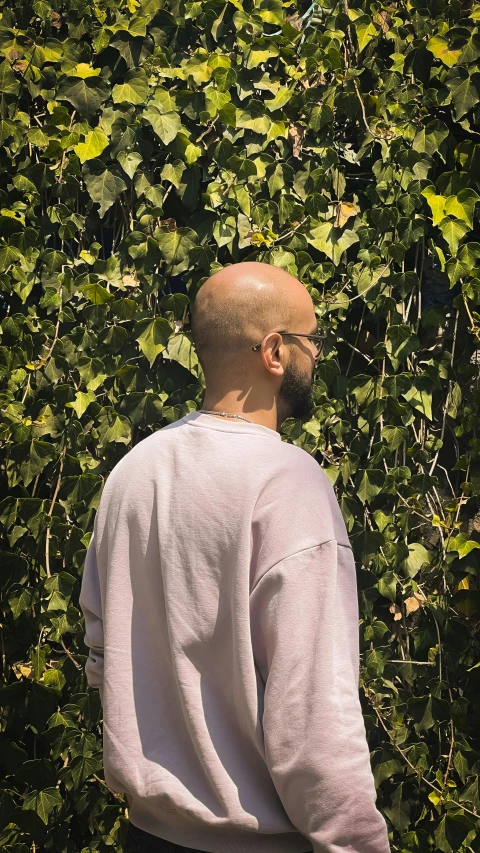 a person standing in front of a bush of green leaves