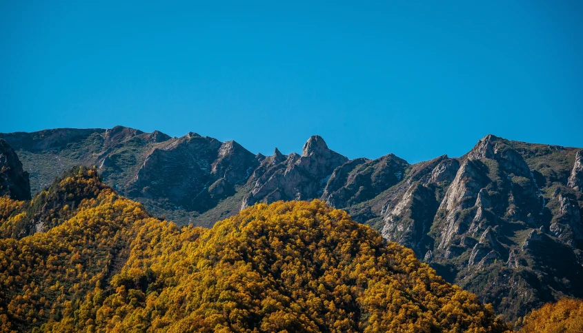 some very tall mountains and trees in the day