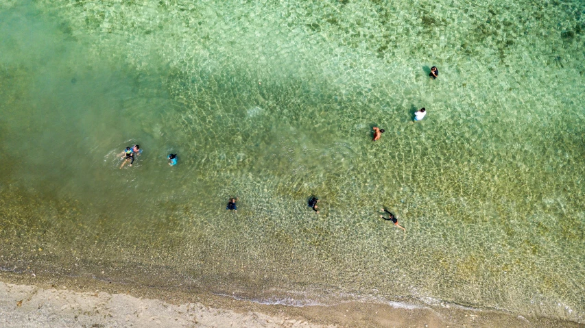 four people in the ocean taking pos together