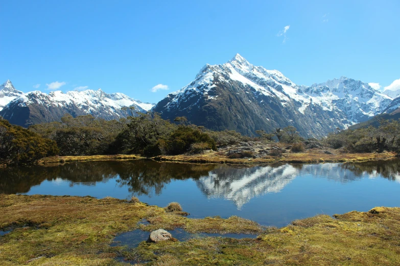 a beautiful view of mountains and a lake with moss in the foreground