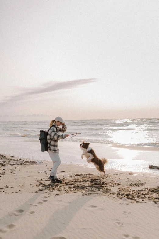 a person on the beach playing with two dogs