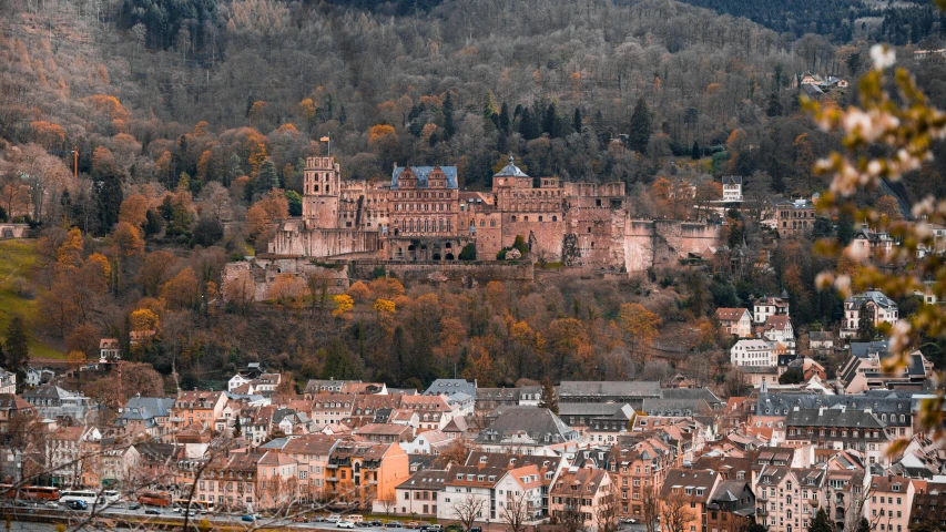 some buildings and trees and a hill side