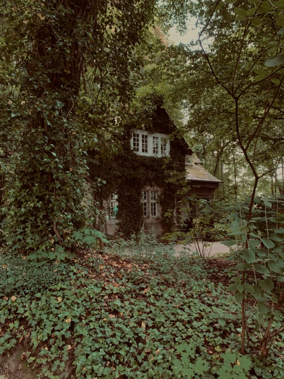 a overgrown house covered in vines and ivy