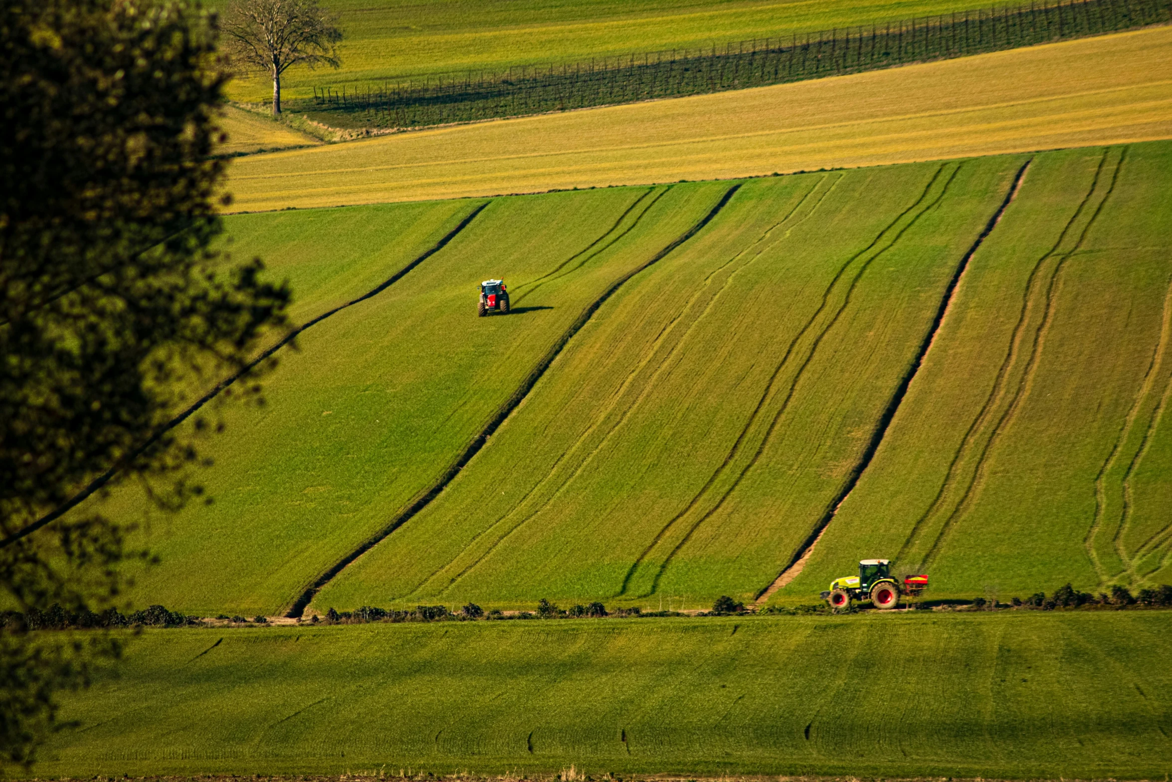 two farm vehicles in the middle of a green field