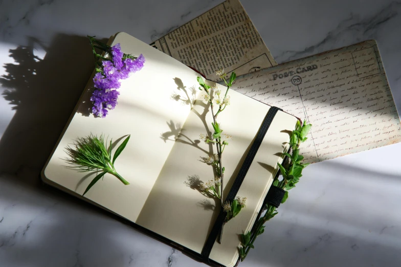 an open journal with flowers and writing