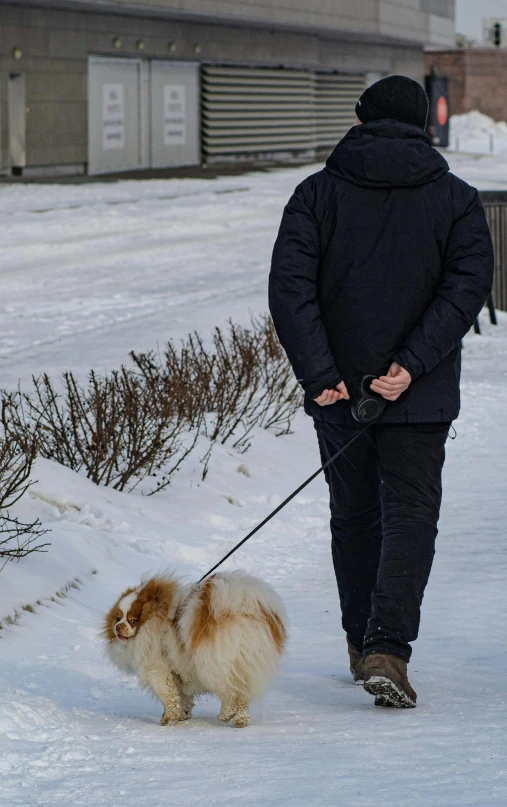 man with dog on leash walking through the snow