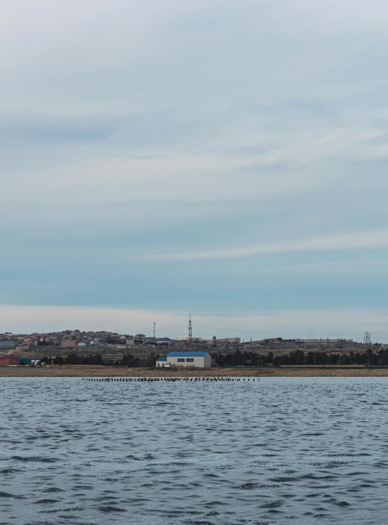 several birds swimming in the ocean near a dock