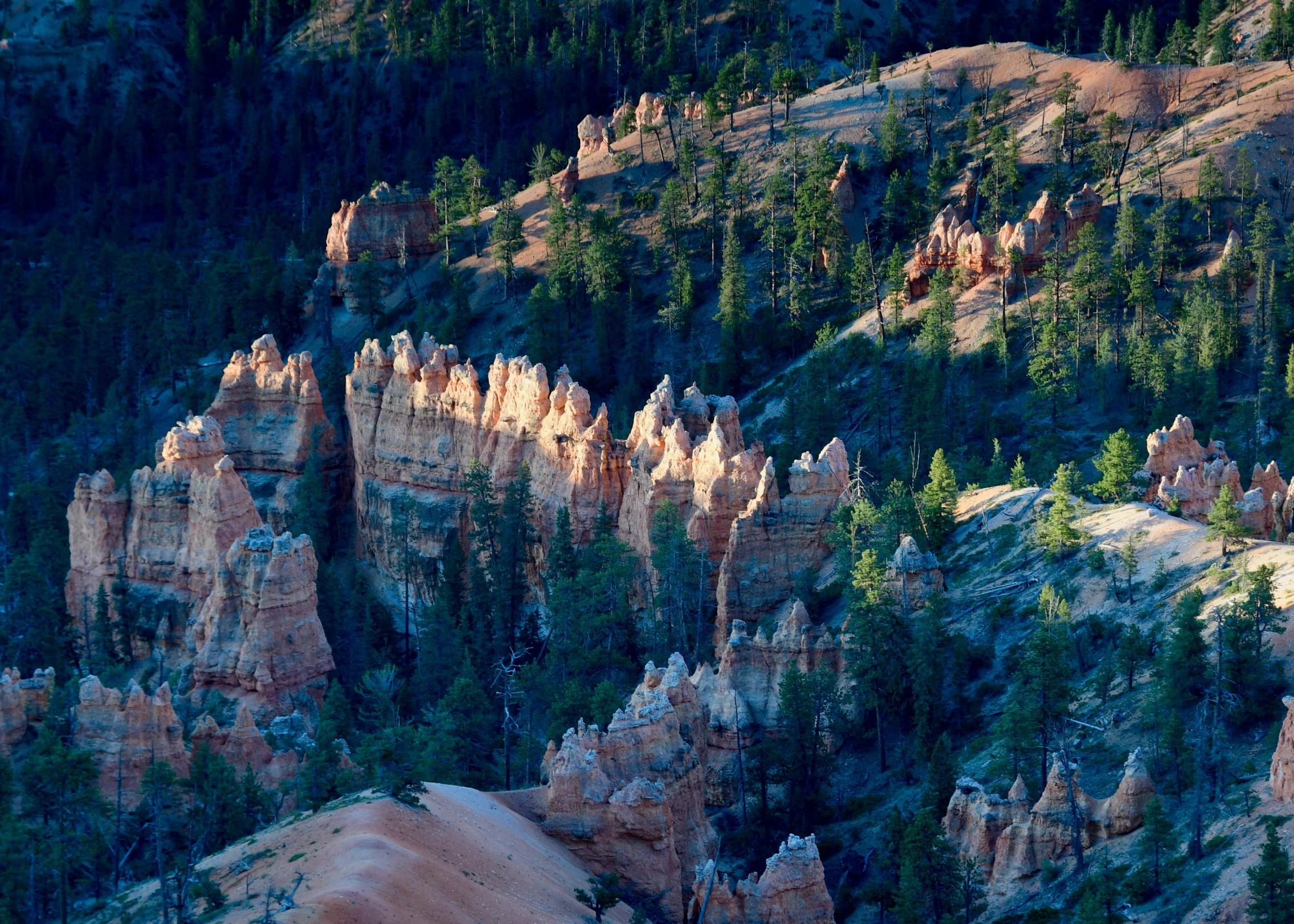 many small, ornate rocks near the forest