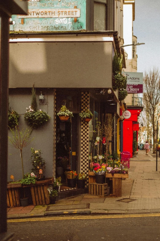 a shop with lots of plants on the side