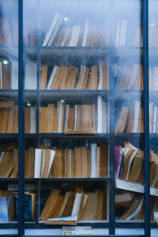 many rows of books are visible in a large window