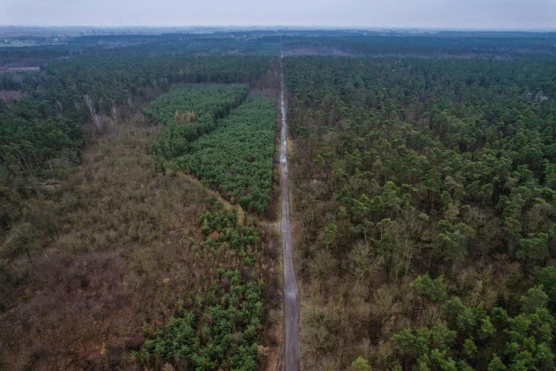 a rural road that runs through the middle of a forest