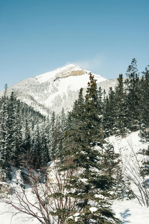 the skiiers are skiing in the snow covered mountains