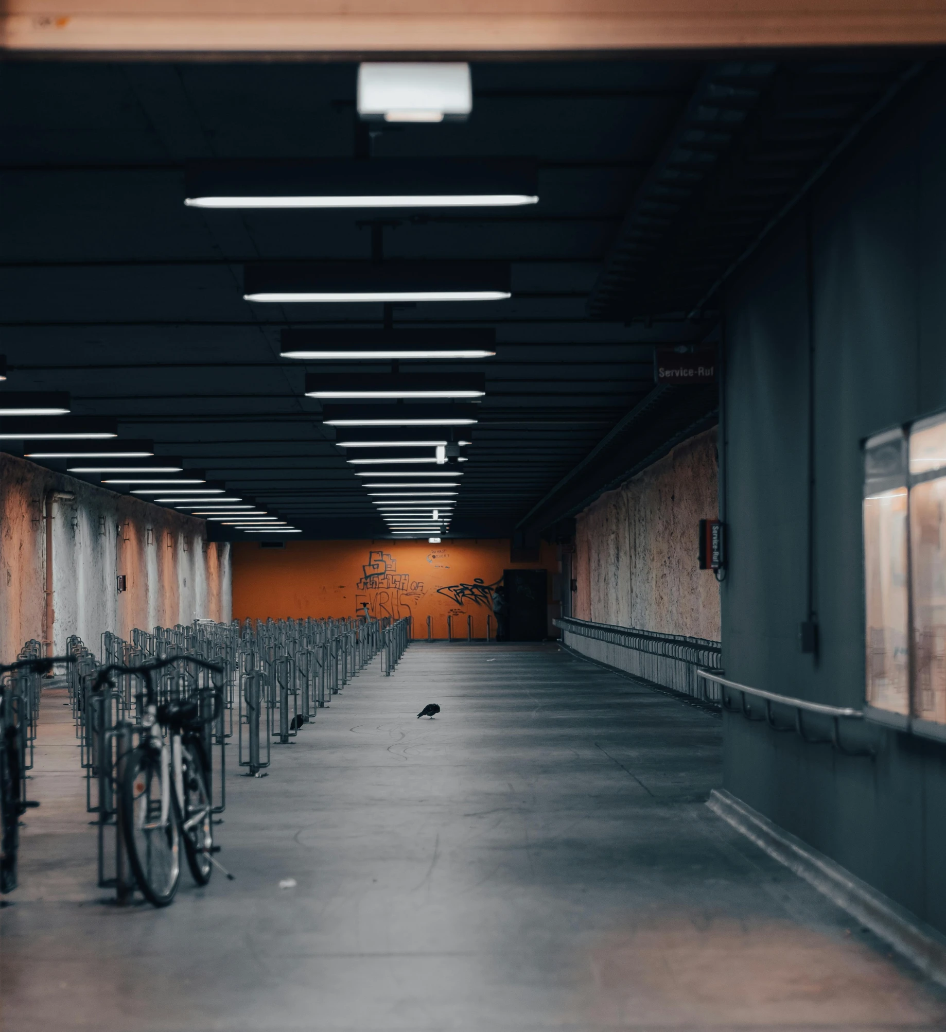 an image of a very long hallway with bikes on the walls