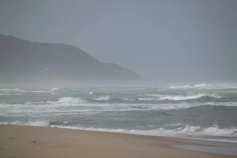 the people are on the shore of the beach