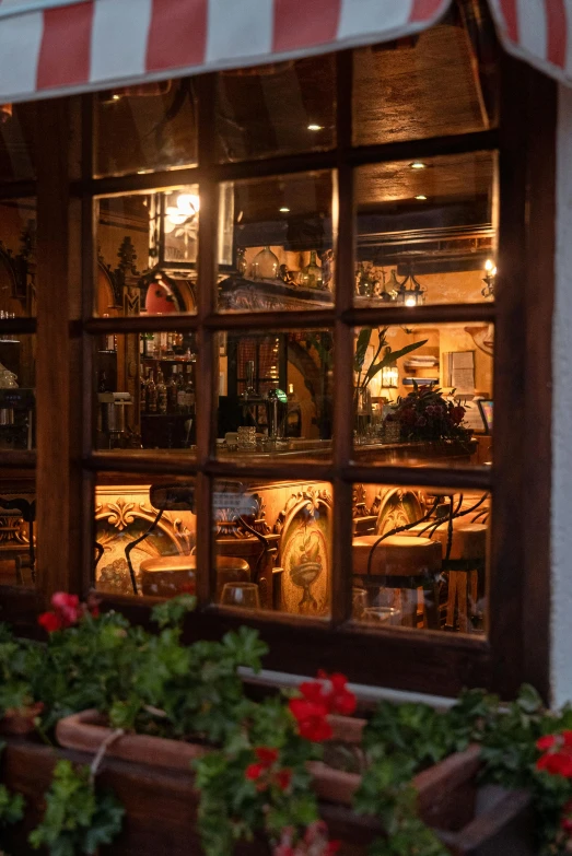 an open window shows some plants and pots