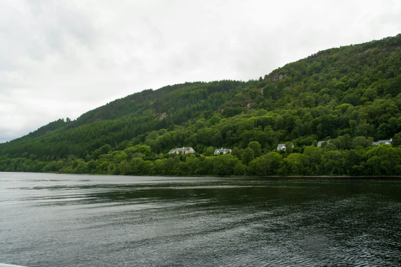 there is a river with houses on the bank of it