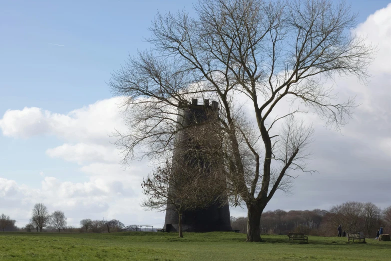 a couple of trees sitting under a blue sky